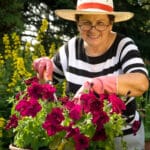 Elder Care in Mountainside NJ: Gardening