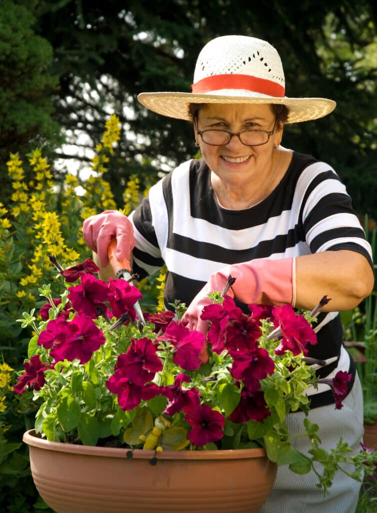 Elder Care in Mountainside NJ: Gardening