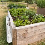 Caregiver in Edison NJ: Benefits of Container Gardens