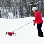 Home Care in Rahway NJ: Senior Winter Safety