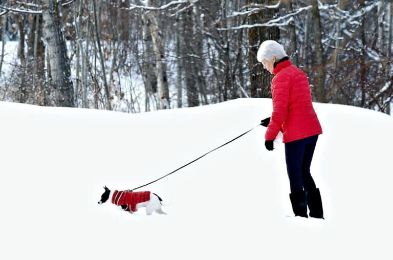 Home Care in Rahway NJ: Senior Winter Safety