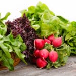 Home Care in Scotch Plains NJ: Improve Cognitive Vitality