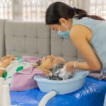 Caregiver in Clark NJ: Senior Hygiene